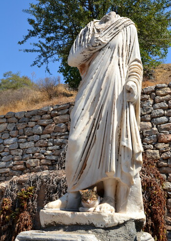 Ephesos, Togatus am Embolos (neben dem ›Heraklestor‹) aus aphrodisischem Marmor (Foto: W. Prochaska)