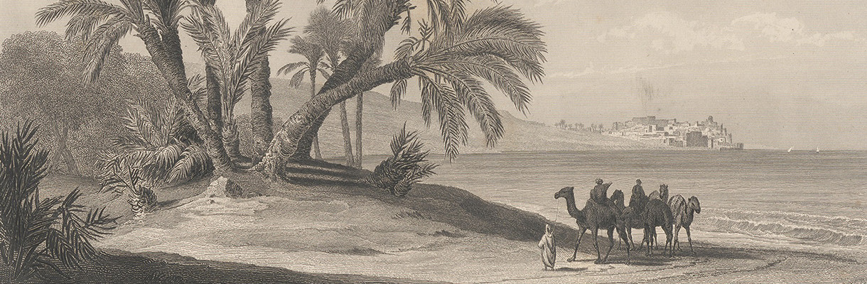 Plato Ahrens after August Löffler: Jaffa, Detail, in: August Löffler und Moritz Busch: Bilder aus dem Orient. Triest: 1864. © Österreichische Nationalbibliothek.