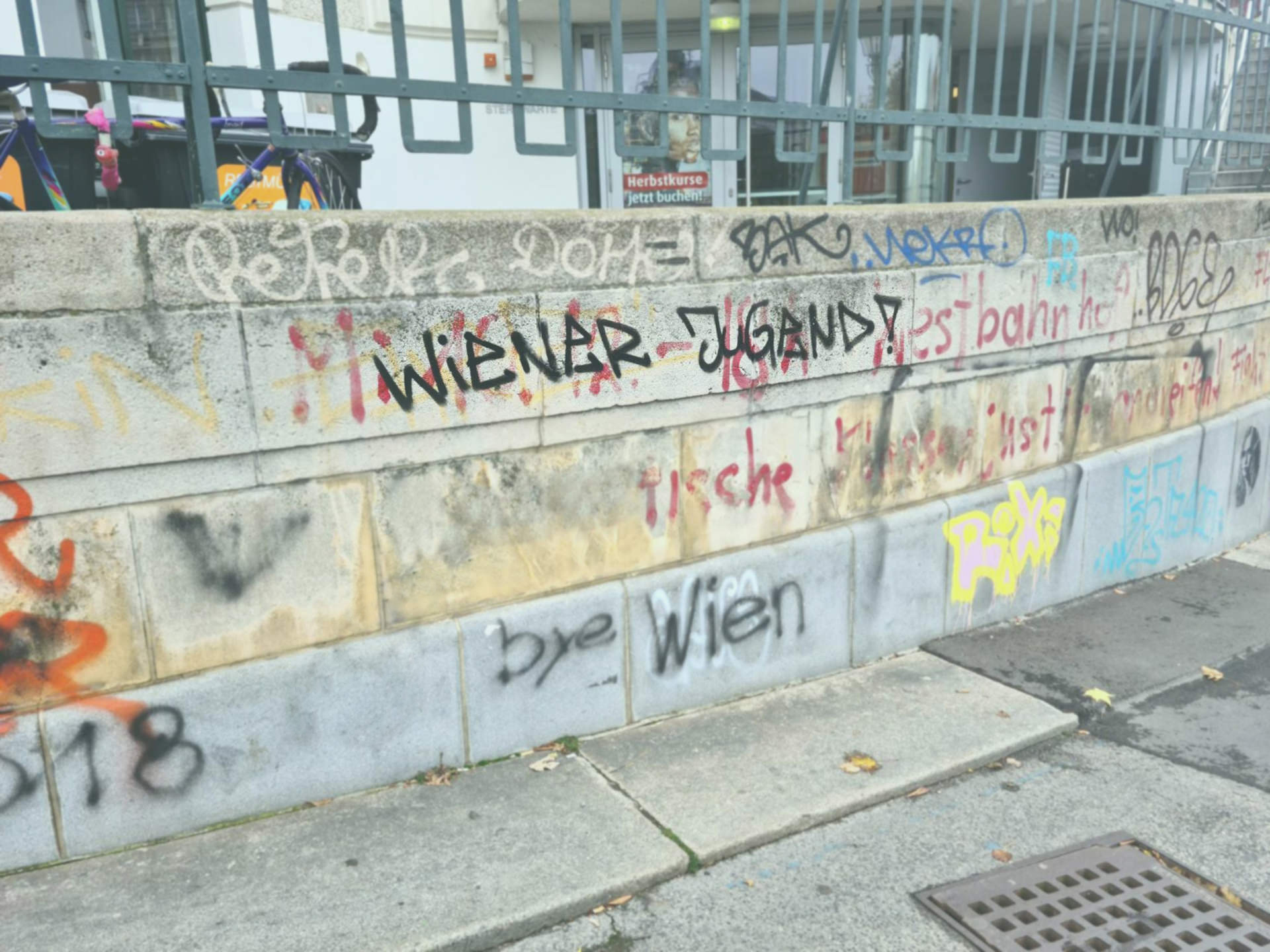 a wall featuring graffiti, one of them reading "Wiener Jugend" (Viennese youth)