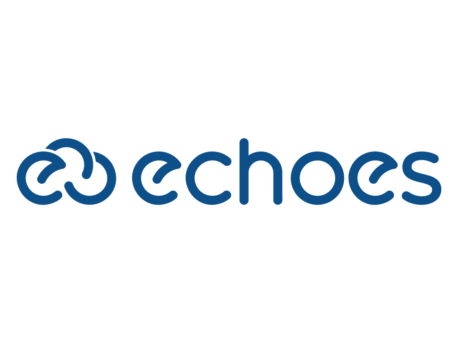 The project logo. It is a stylized dark blue cloud with the word "echoes" next to it.