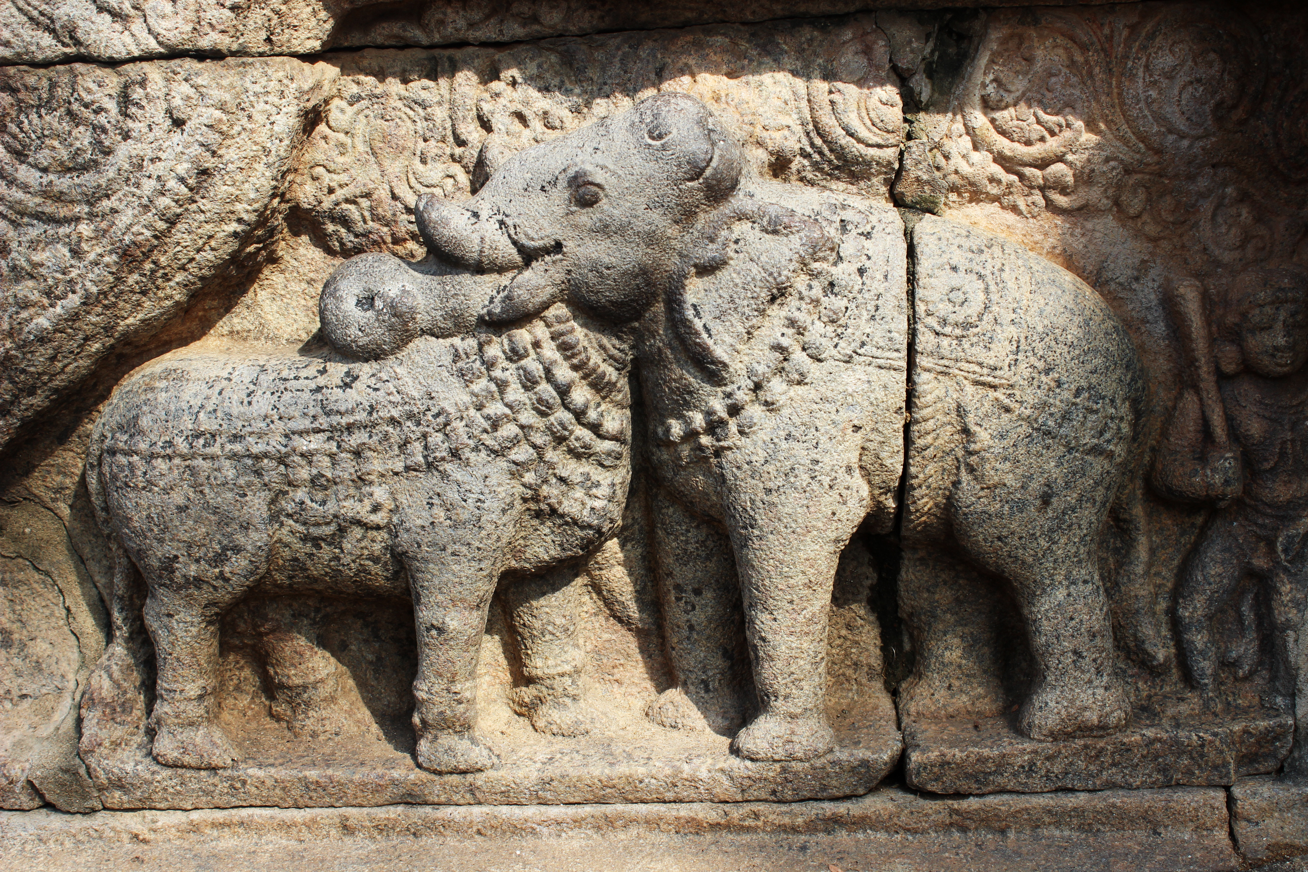 Bull and elephant relief at Thanjavur Airavatesvara temple, edited | KARTY JazZ, CC BY-SA 4.0, https://creativecommons.org/licenses/by-sa/4.0, via Wikimedia Commons