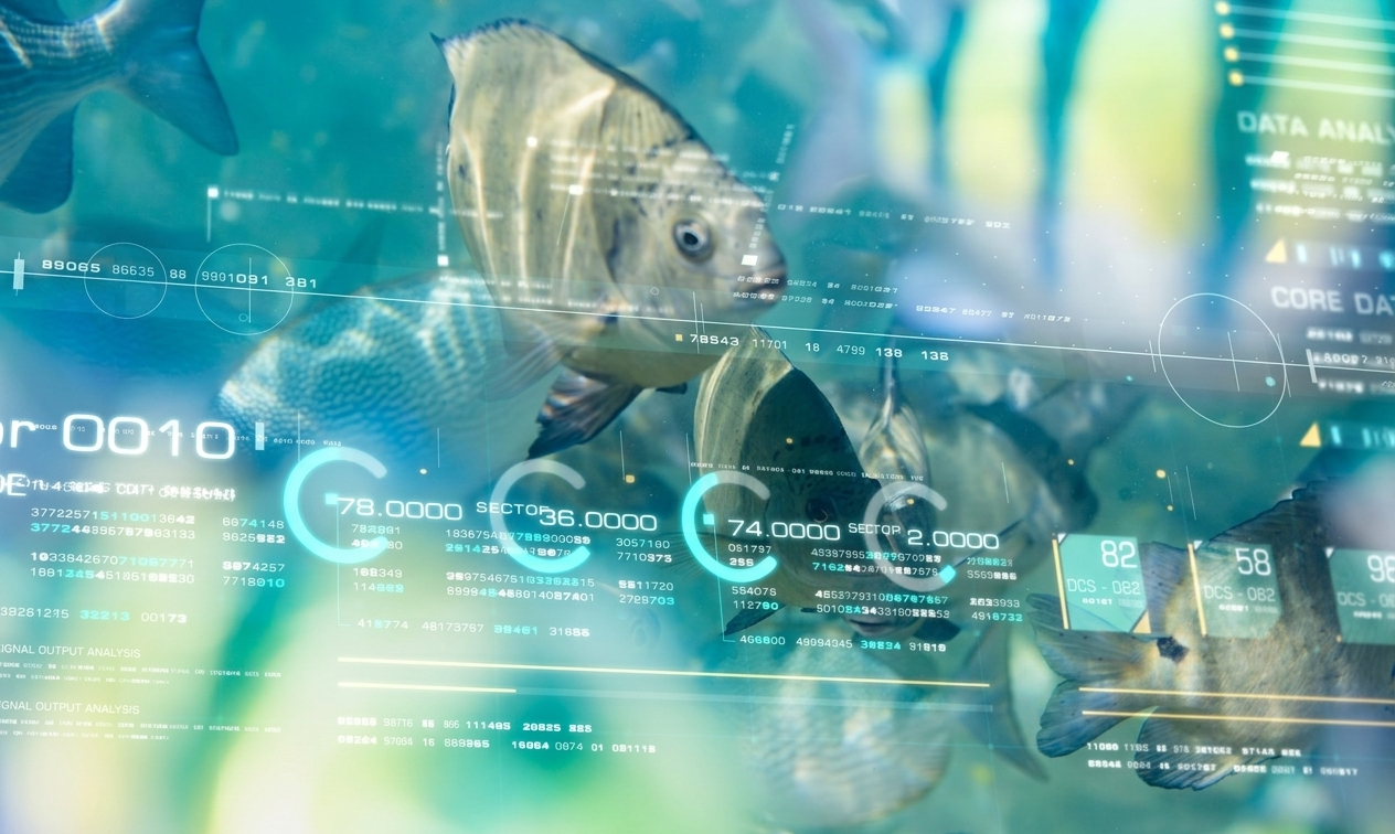 Collage of computer data and fish (Image sources: iStockphoto)