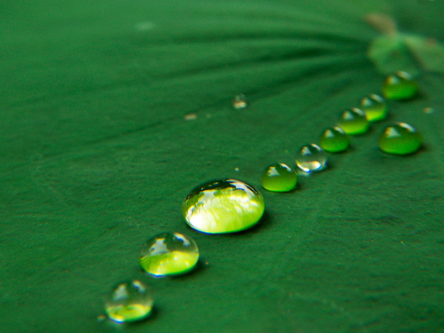 Foto: Flickr/tanakawho