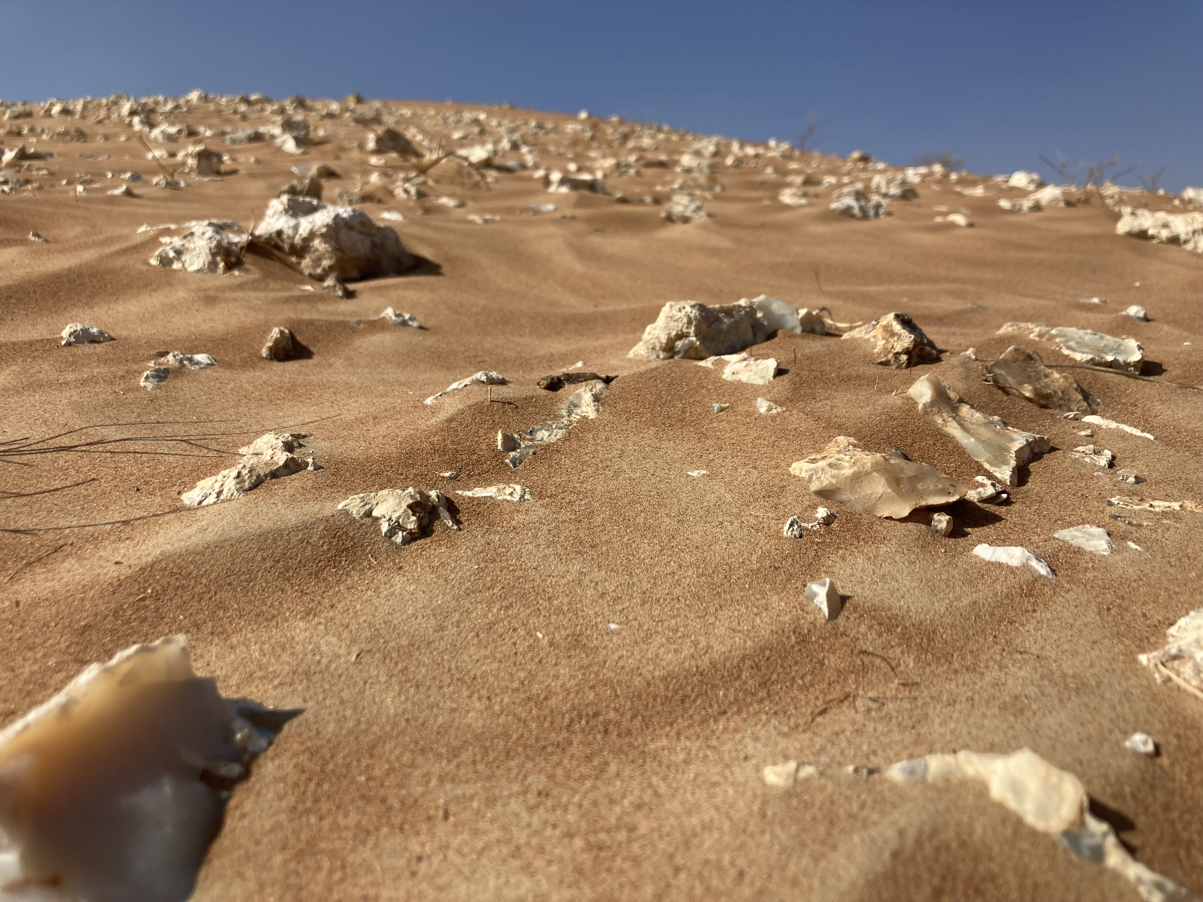 Verstreut im Sand liegender Chalcedon (© ÖAW-ÖAI/Ch. Schwall)