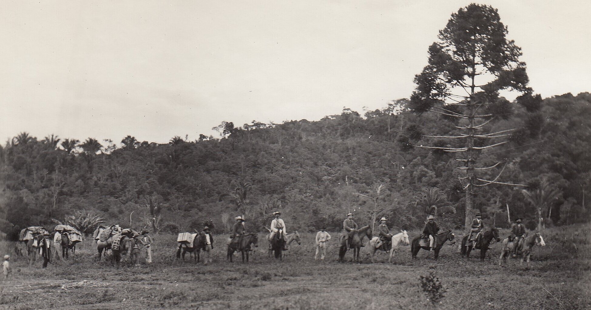 Die Expeditionsteilnehmer (von links: Viktor Schiffner, August Wiemann, Richard Wettstein und Fritz Kerner; vielleicht auch Arthur Wachsmund und Matthias Wacket), mit Brasilianern; die Personen sitzen auf (oder stehen neben) Pferden bzw. Maultieren in einer Landschaft mit Baum bzw. Wald. © Privatarchiv Franz und Elise Speta (mit freundlicher Genehmigung)