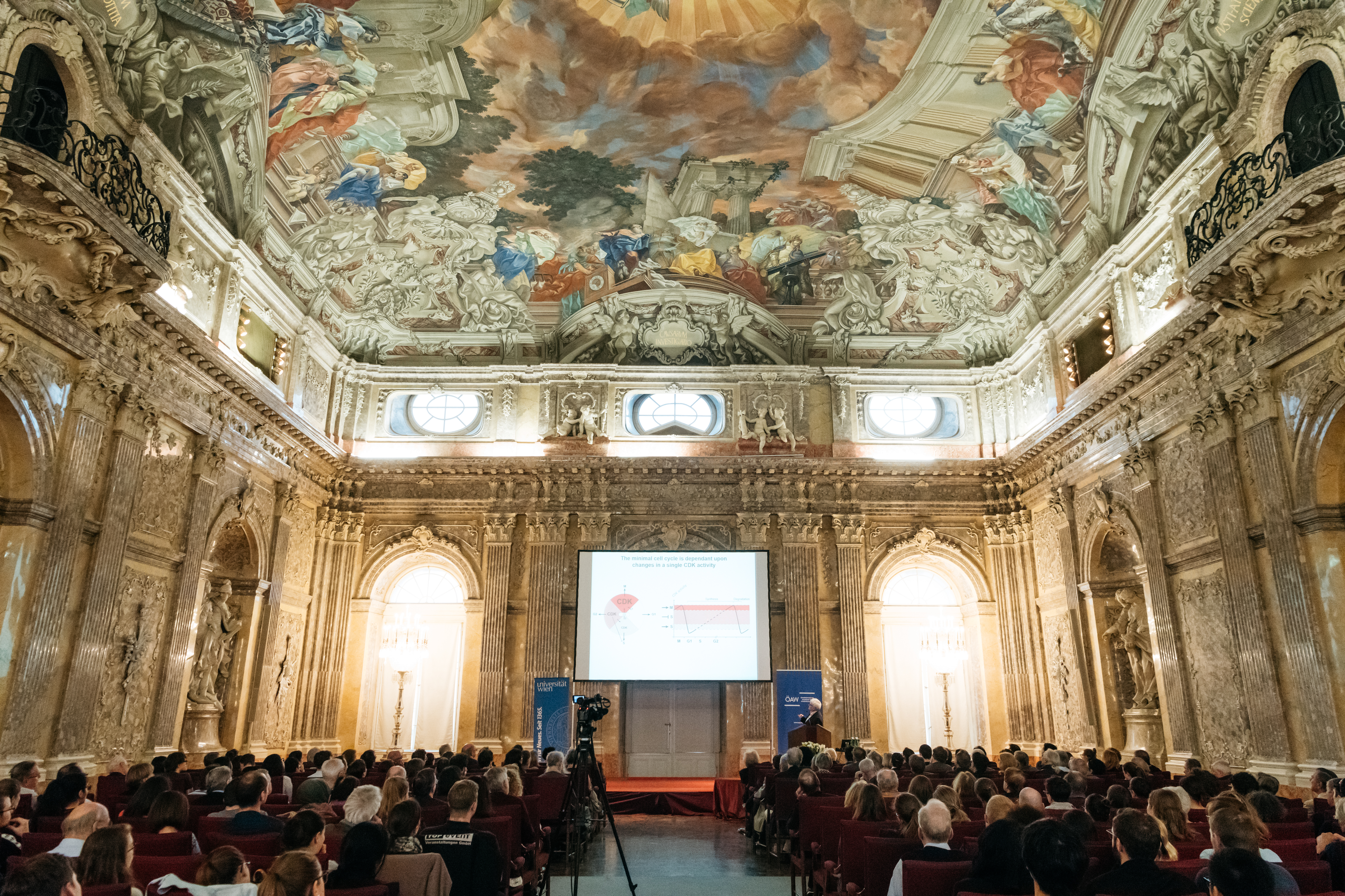 Großer Andrang: Paul Nurse sorgte für einen vollbesetzten Festsaal an der ÖAW. © ÖAW/Klaus Pichler Großer Andrang: Paul Nurse sorgte für einen vollbesetzten Festsaal an der ÖAW. © ÖAW/Klaus Pichler