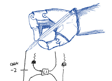 [Translate to English:] Bild: Robert Fickler, Universität Wien