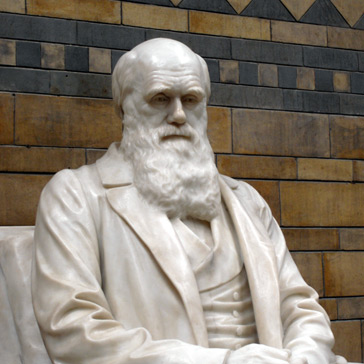Charles Darwin-Statue von Sir Joseph Boehm, 1885 © Wikimedia/CC/Patche99z