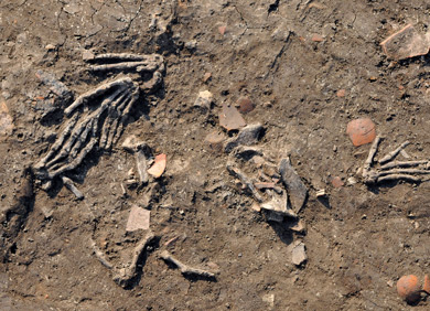 [Translate to English:] Gruseliger Fund in Tell el-Dabʿa: Eine Grube mit abgeschlagenen Händen im Palastbezirk. © ÖAW