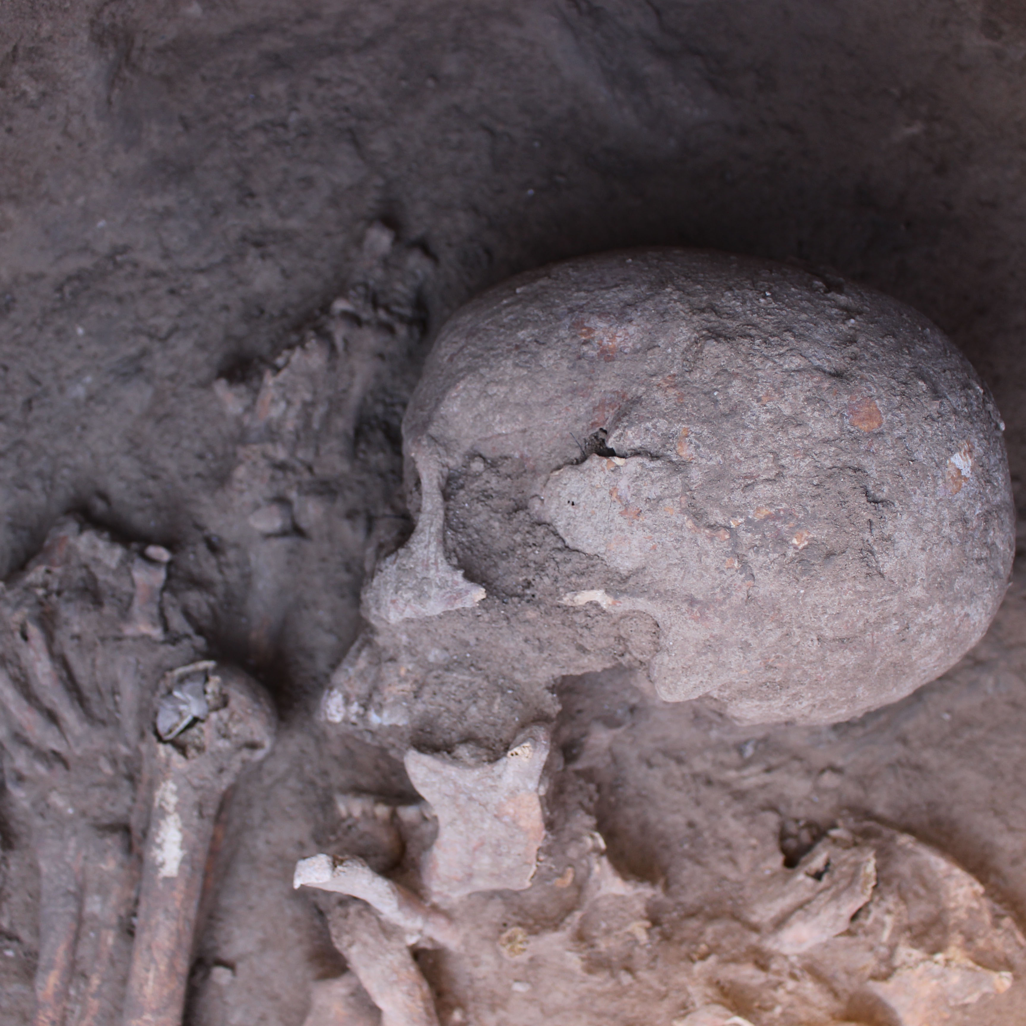 © ÖAW-ÖAI/Michelle Gamble