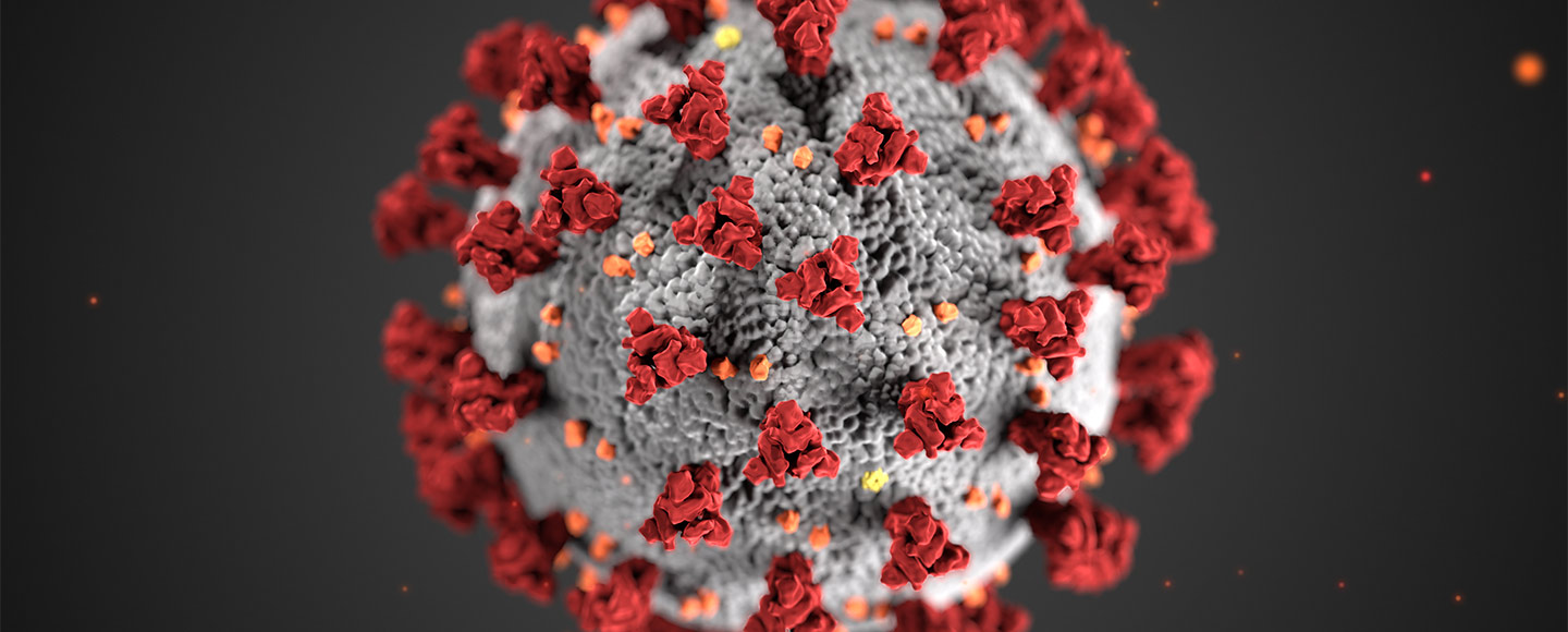 Coronavirus in schematischer Darstellung