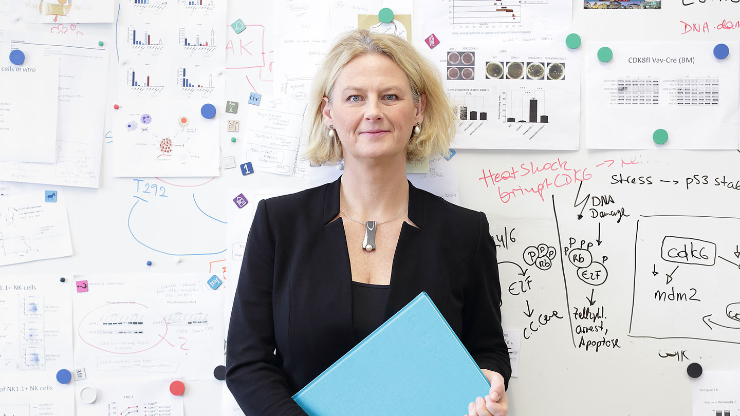 Sexl Veronika Sexl steht mit blauer Mappe vor einer Tafel