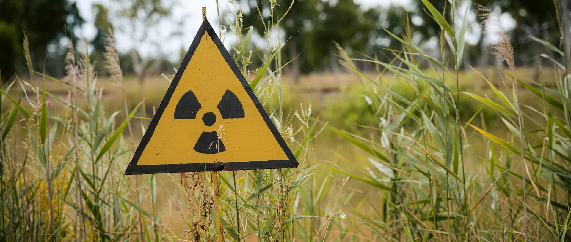 Bild eines radioaktiven Warnzeichens vor einer Waldlandschaft. 