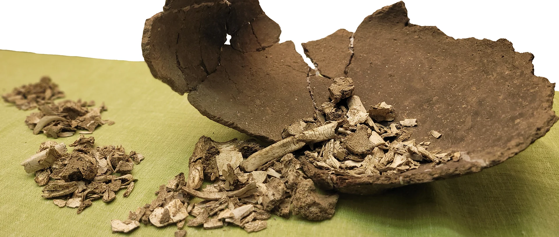 Foto einer zerbrochenen Urne, auf deren Boden sich Knochenfragmente befinden