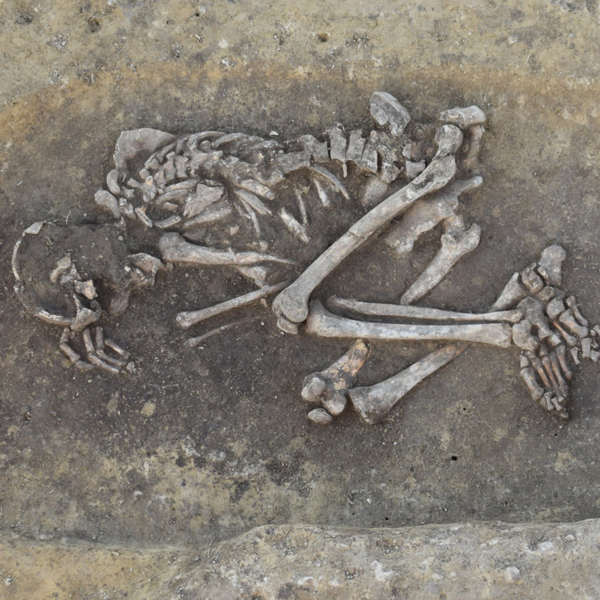 Die Überreste des verstorbenen Mannes liegen am Boden des geöffneten Grabes. 