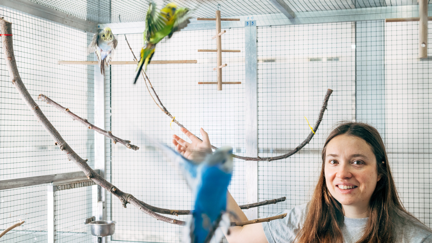 Eine Forscherin in einem Vogelgehege mit Papagei