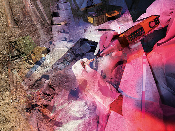 Collage