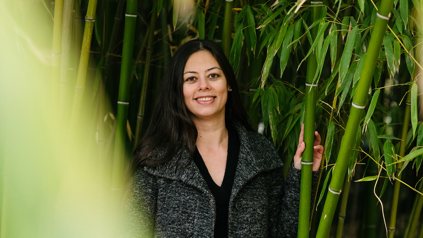 ÖAW-Forscherin Nina Mirnig zwischen Bambuspflanzen