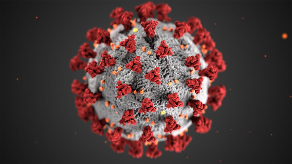 Schematische Darstellung des Coronavirus