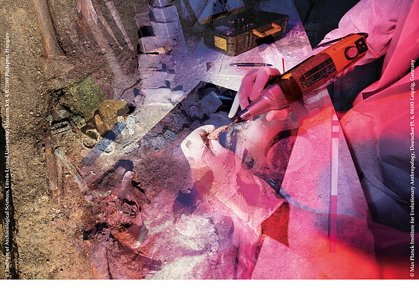 Collage HistoGenes © Dagmar Giesriegl