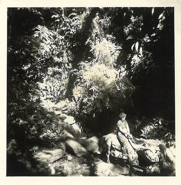 Schwarzweißfoto von einem Urwald. Mona Lisa Steiner reitet auf einem Pferd durch, eine Person unten rechts im Eck scheint ihr bei etwas zu helfen.