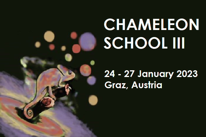 Poster mit der Aufschrift "Chameleon School |||". Das Event findet am 24 - 27 Jänner 2023 in Graz statt. Links ist eine künstlerische, bunte Darstellung eines Chamäleons.