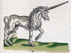Einhorn in der Historiae animalium (1551) von Conrad Gesner © Wikimedia Commons/Public Domain/National Library of Medicine