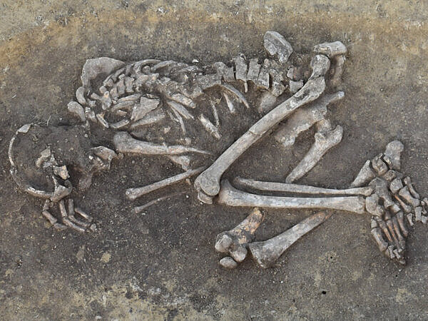 Die Überreste des verstorbenen Mannes liegen am Boden des geöffneten Grabes. 