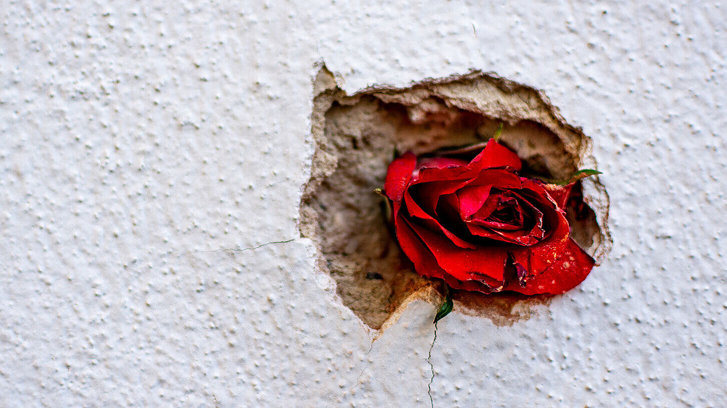 Zum Andenken an die Opfer hat jemand eine rote Rose in eines der Einschusslöcher in der Hausmauer am Tatort gesteckt. © LukeOnTheRoad/Shutterstock Zum Andenken an die Opfer hat jemand eine rote Rose in eines der Einschusslöcher in der Hausmauer am Tatort gesteckt. © LukeOnTheRoad/Shutterstock