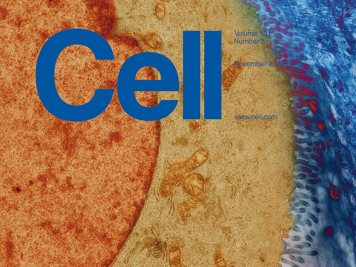 Breakdown in the Power Plant of the Cell