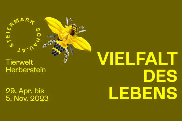 Veranstaltungsbanner der Steiermark Schau 2023 in der Tierwelt Herberstein mit einer gezeichneten Biene.
