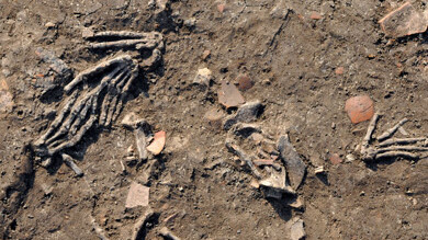 Gruseliger Fund in Tell el-Dabʿa: Eine Grube mit abgeschlagenen Händen im Palastbezirk. © ÖAW