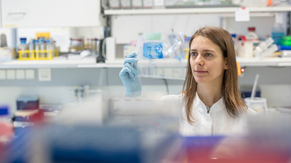 From coronavirus to quantum physics to archeology – in 2020, numerous important new scientific insights were gained at the OeAW.