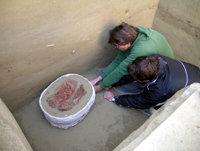 Die Zwillinge wurden 2005 von Archäolog/innen der ÖAW im Block geborgen, um sie für spätere Untersuchungen bestmöglich zu erhalten.