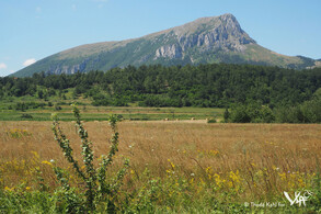 The Stol mountain in eastern Serbia (highest peak 1.156 meters) with pronounced karst formations (Luka, 2016)