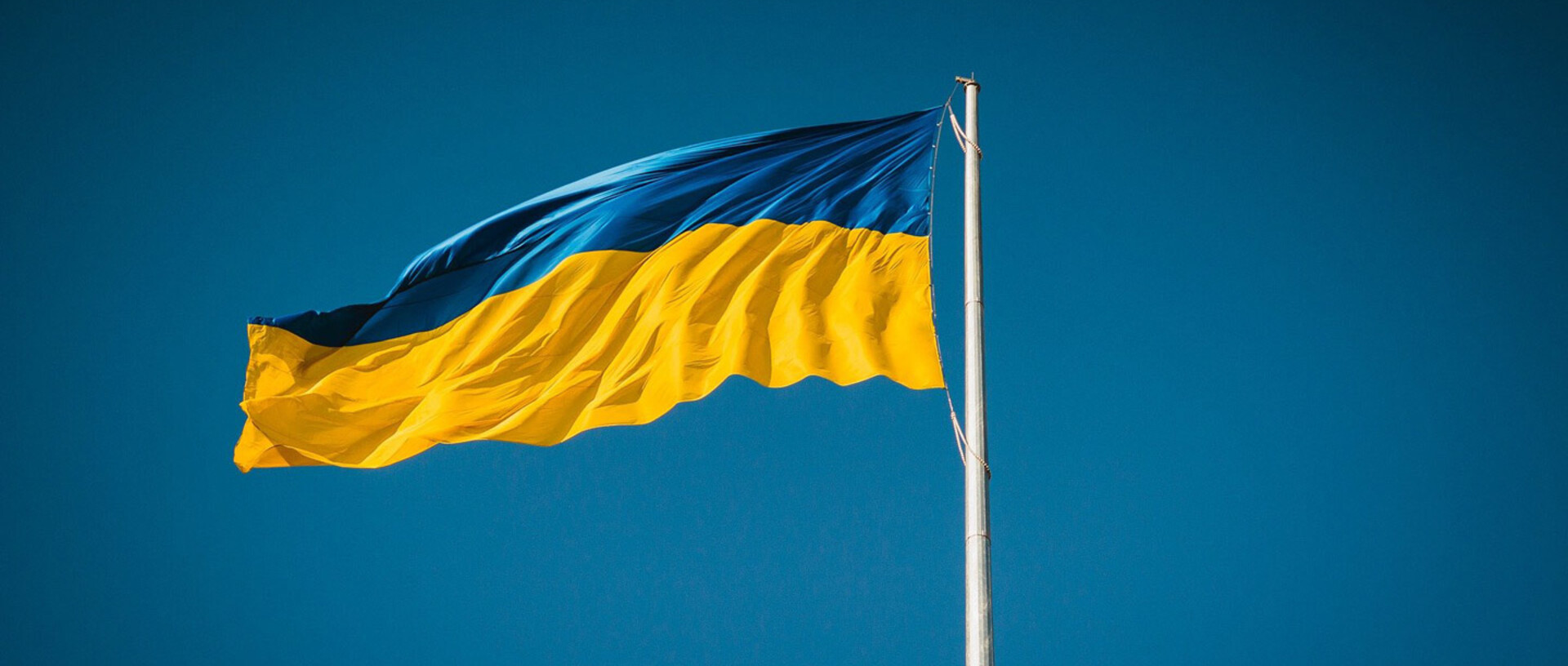 The OeAW shows solidarity with Ukraine