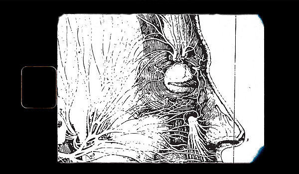 Illustration der Nerven im menschlichen Gesicht, der Bereich der Augen ist im Zentrum. Es ist ein Filter und Rahmen drübergelegt, der aussieht als wäre es ein Frame aus einem alten Film.