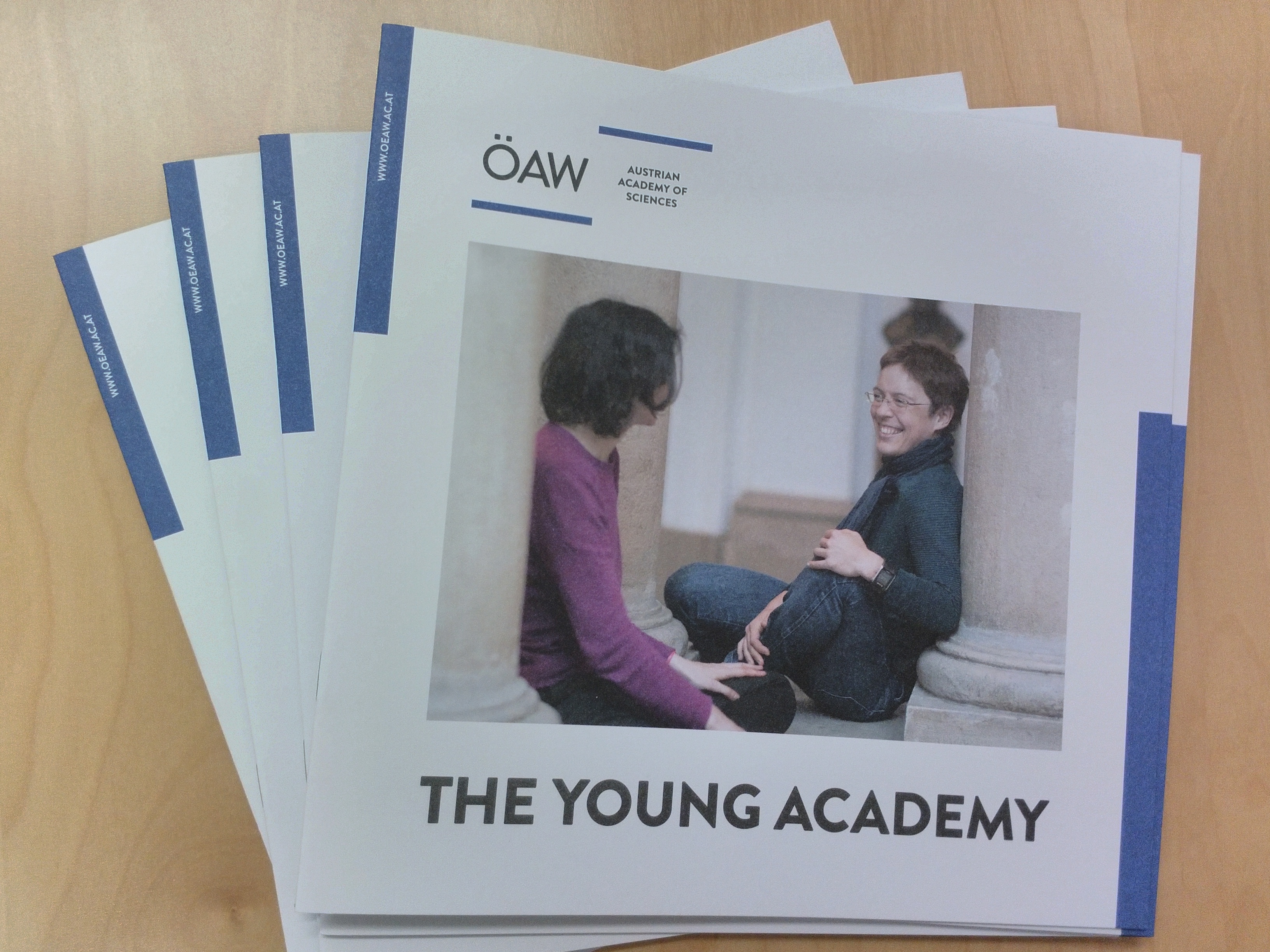 Einige Exemplare der neuen Broschüre "The Young Academy" fächerförmig präsentiert
