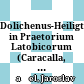 Dolichenus-Heiligtum in Praetorium Latobicorum : (Caracalla, Caesar, Imperator Destinatus)