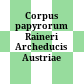 Corpus papyrorum Raineri Archeducis Austriae