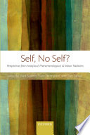 Self, no self? : : perspectives from analytical, phenomenological, and Indian traditions /