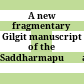A new fragmentary Gilgit manuscript of the Saddharmapuṇḍarīkasūtra