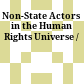 Non-State Actors in the Human Rights Universe /