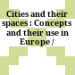 Cities and their spaces : : Concepts and their use in Europe /