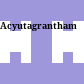 Acyutagranthamālā