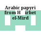 Arabic papyri from H̱irbet el-Mird