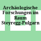 Archäologische Forschungen im Raum Steyregg-Pulgarn