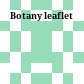 Botany leaflet