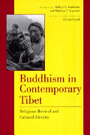 Buddhism in contemporary Tibet : religious revival and cultural identity