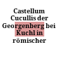Castellum Cucullis : der Georgenberg bei Kuchl in römischer Zeit